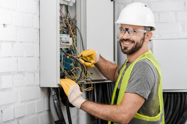 Best Electrician Near Me  in Olivia, MN