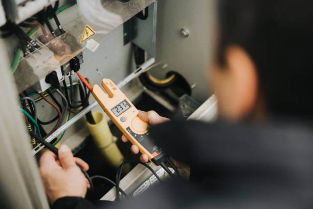 Best Electrician for Home Renovation  in Olivia, MN