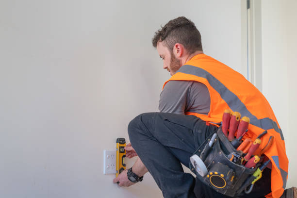 Best Local Electrician Companies  in Olivia, MN