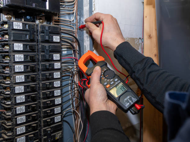 Best Licensed Electrician  in Olivia, MN
