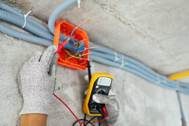 Best 24-Hour Electrician  in Olivia, MN