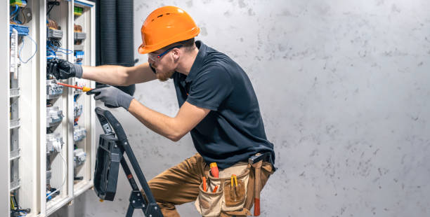 Best Industrial Electrical Services  in Olivia, MN